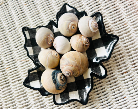 October by the Sea: Nature, Nostalgia & Halloween Charm