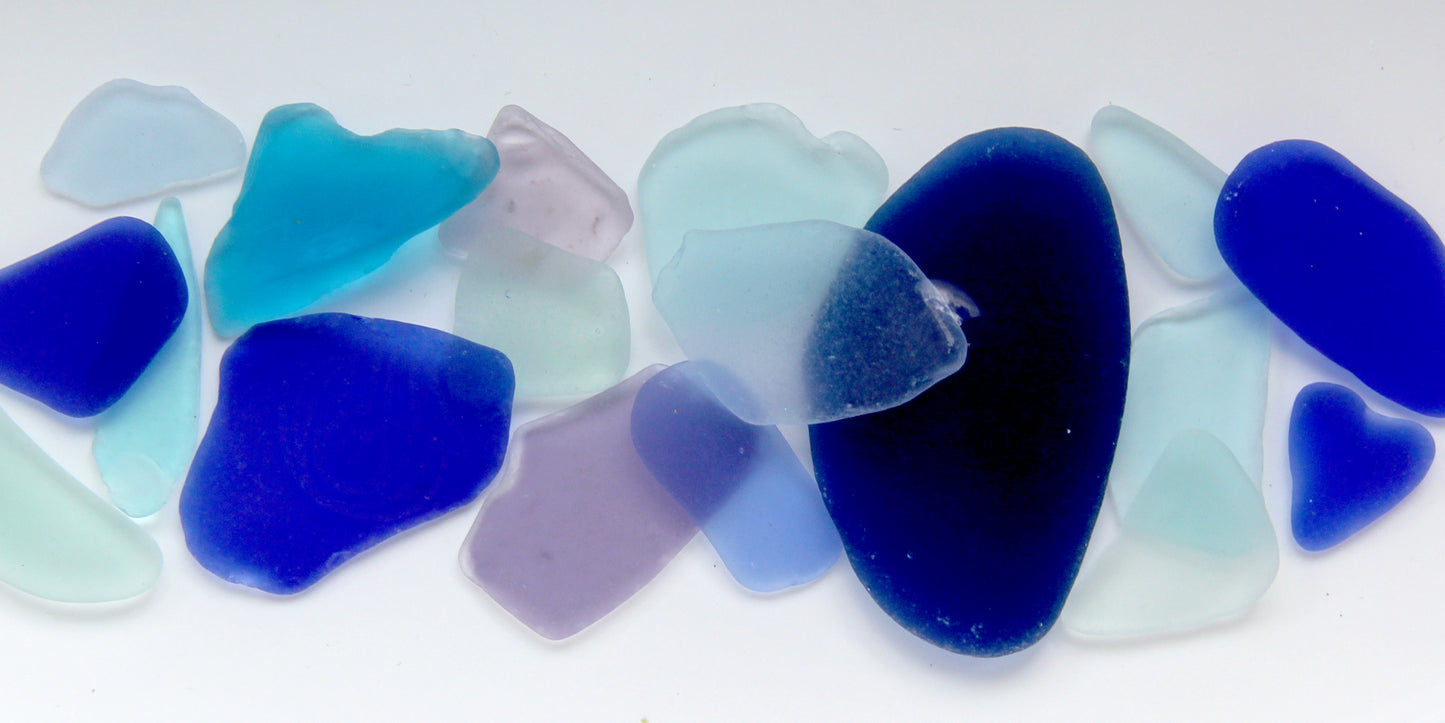 Sook & Hook Gift Card