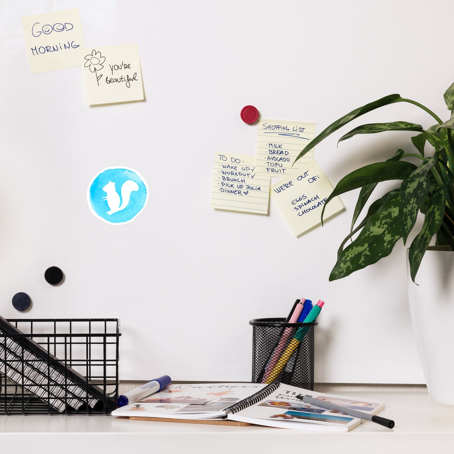 Sook & Hook Logo Magnet