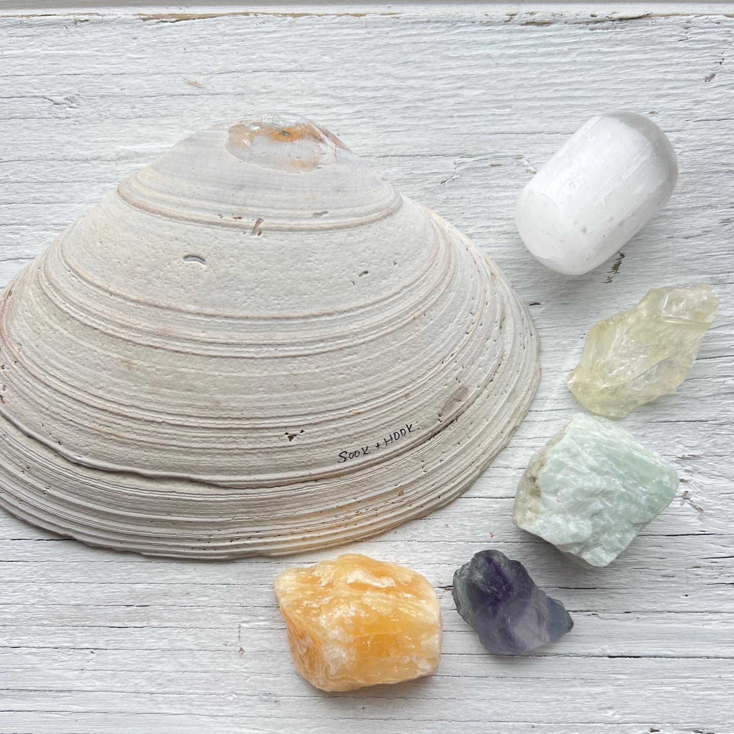 Crystal Clams by Sook & Hook | A Home for your Crystal Collection