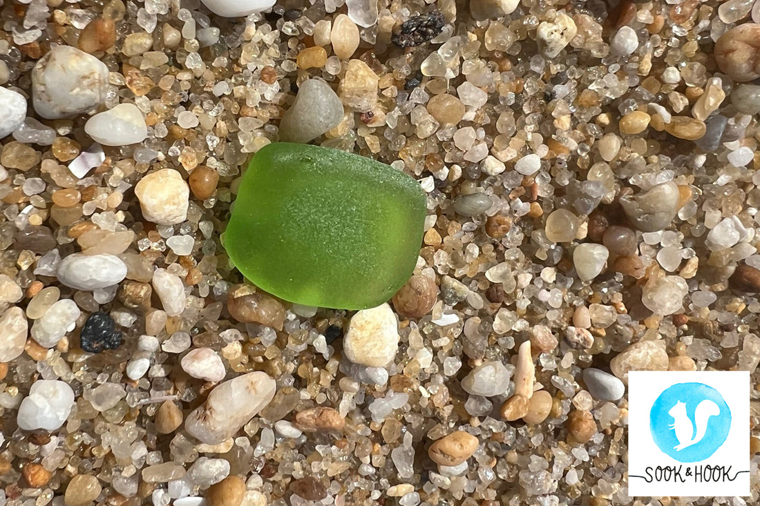 Jersey Shore Scavenger Hunt | Common Beach Finds | Sook & Hook Blog