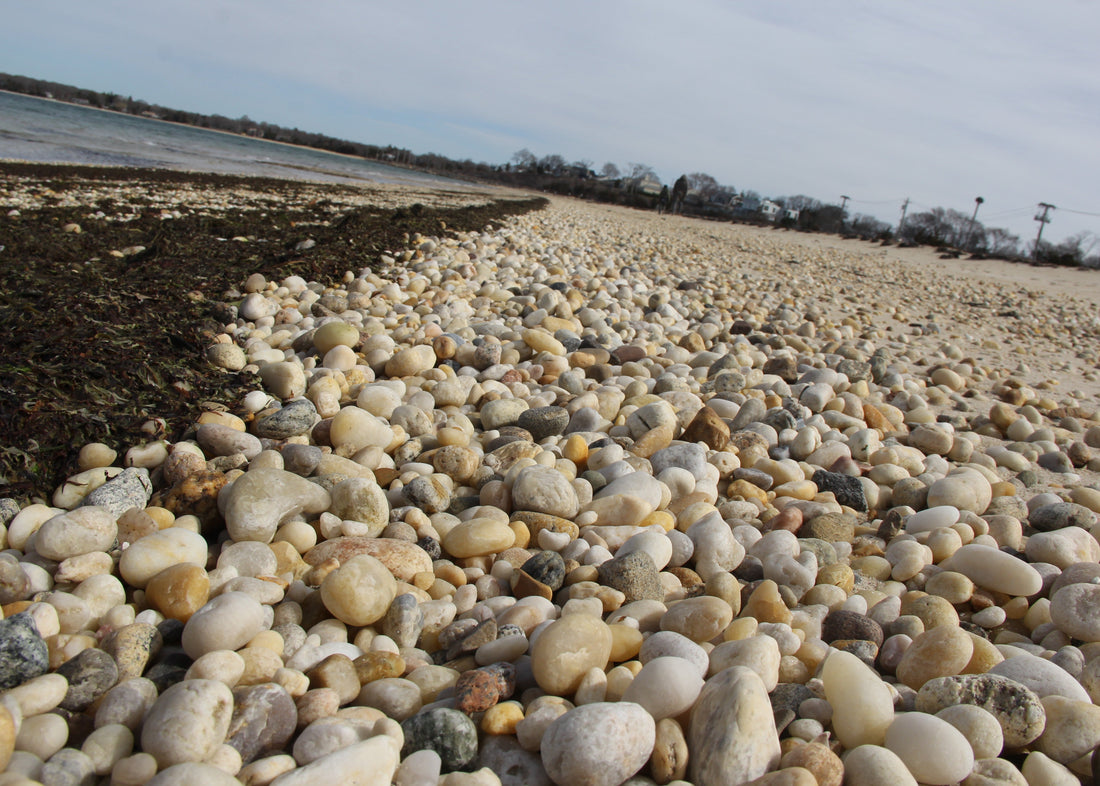 Off Season Beachcombing Trip to the Hamptons