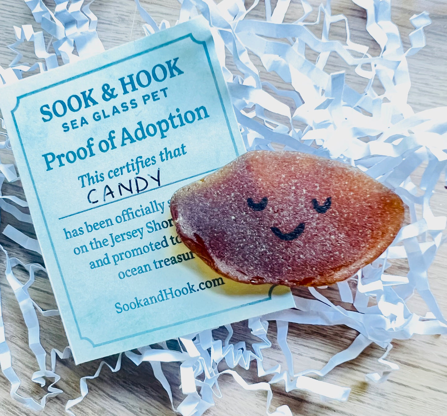 Sea Glass Pets – Adopt a Tiny Treasure from the Jersey Shore!
