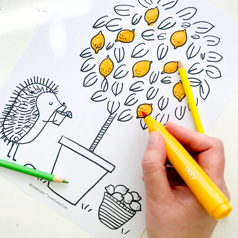 Printable Zinnie's Garden Coloring Book